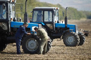 Farmers Saki region plan to increase acreage by more than 2 thousand. 