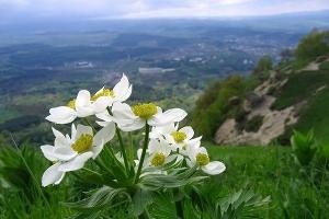 Resort fee KMV can bring up to 1 billion rubles